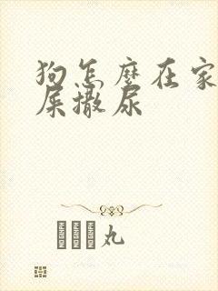 狗怎么在家里拉屎撒尿