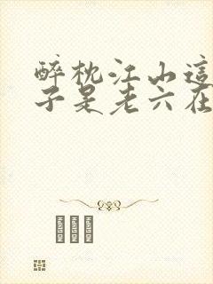 醉枕江山这个皇子是老六在线