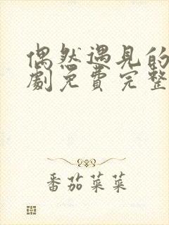 偶然遇见的你短剧免费完整版