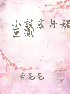 小说卢丹妮婚心叵测