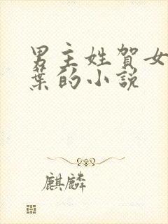 男主姓贺女主姓叶的小说