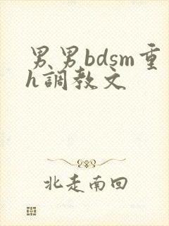 男男bdsm重h调教文