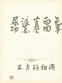 尿液有白色沉淀物怎么回事