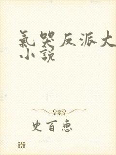 气哭反派大小姐小说