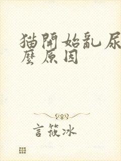 猫开始乱尿是什么原因