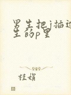 男生把j插进女生的p里