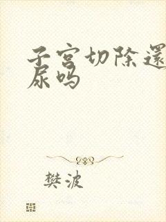 子宫切除还会漏尿吗