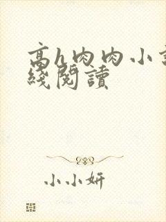 高h肉肉小说在线阅读