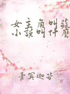 女主角叫苏楠的小说叫什么名字