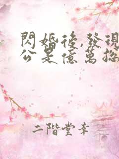 闪婚后,发现老公是亿万总裁 电子书下载