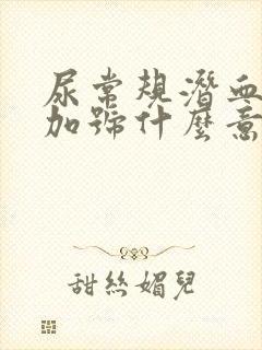 尿常规潜血1个加号什么意思