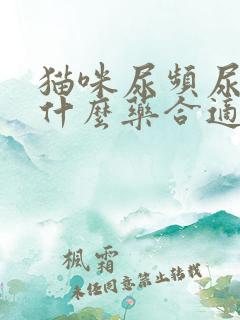 猫咪尿频尿少吃什么药合适