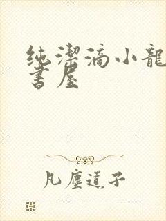 纯洁滴小龙深夜书屋
