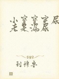 小宝宝穿尿不湿老是漏尿