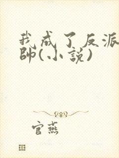 我成了反派高富帅(小说)