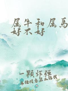 属牛和属马婚配好不好