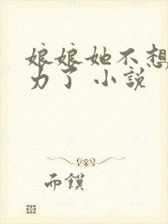 娘娘她不想再努力了 小说