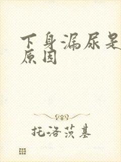 下身漏尿是什么原因