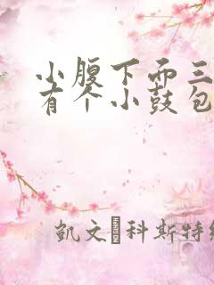 小腹下面三角区有个小鼓包