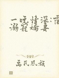 一晚情深:霍少溺宠娇妻