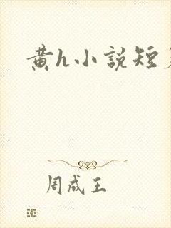 黄h小说短篇
