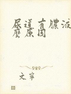 尿道有脓液是什么原因