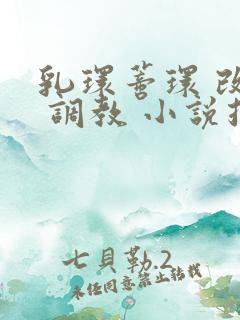 乳环蒂环 改造 调教 小说推荐