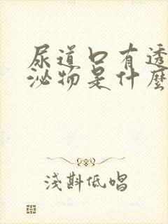 尿道口有透明分泌物是什么