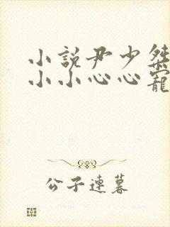 小说尹少桀,慕小小心心宠念