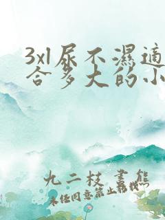 3xl尿不湿适合多大的小孩