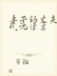 妻子的丈夫不是我沈清柔