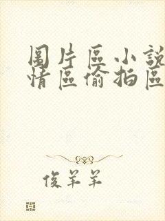 图片区小说区激情区偷拍区