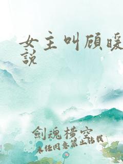 女主叫顾暖的小说