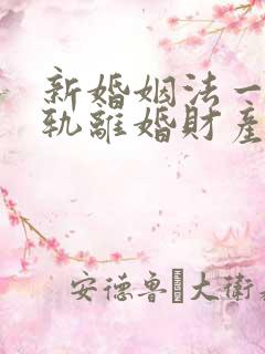 新婚姻法一方出轨离婚财产分割