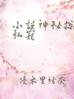 小说神秘总裁的私宠