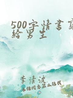 500字情书写给男生