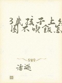 3岁孩子上幼儿园不吃饭怎么办