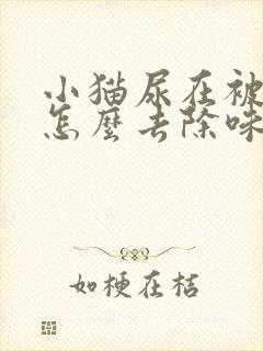 小猫尿在被子上怎么去除味道