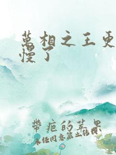 万相之王更新太慢了