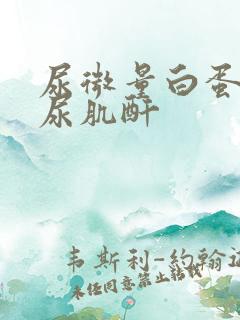 尿微量白蛋白+尿肌酐