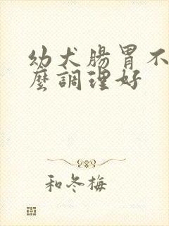 幼犬肠胃不好怎么调理好