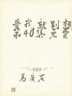 爱我就别想太多第40集免费观看