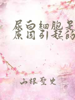 尿白细胞是什么原因引起的