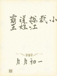 霸道总裁小说男主姓江