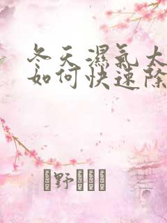 冬天湿气太重了如何快速除湿