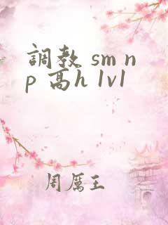 调教 sm np 高h 1v1