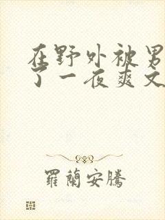 在野外被男人躁了一夜爽文