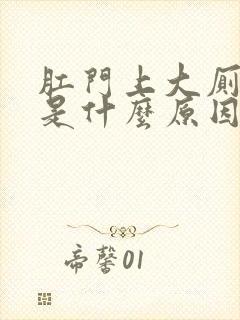 肛门上大厕出血是什么原因