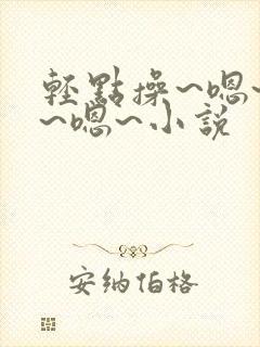 轻点操~嗯~啊~嗯~小说