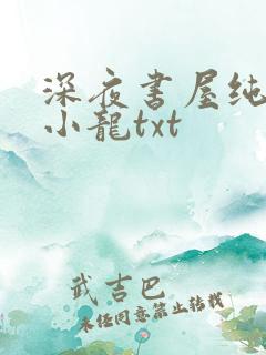 深夜书屋纯洁滴小龙txt